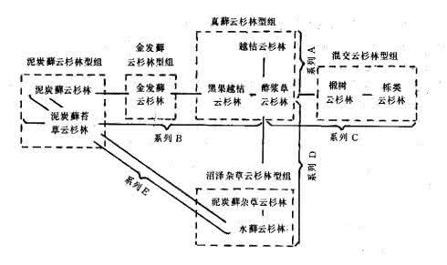 苏卡网 苏卡乔夫，..