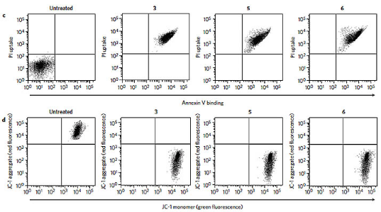 环卫大队转运站情况 转运通常发生在啥情况下