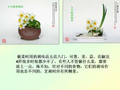 各种调料的用法及用途 调料的科学用法