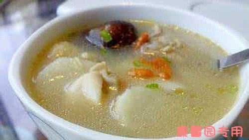广东药膳汤谱大全 药膳汤谱大全 药膳汤