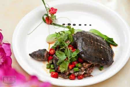 野生甲鱼 生爆野生甲鱼