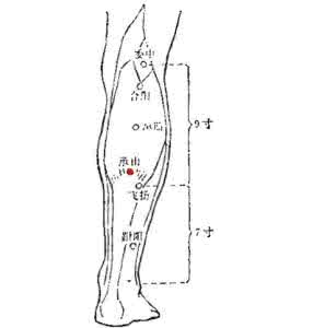 下肢发凉是怎么回事 下肢发凉按承山