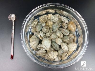 2分钟花蛤快速吐沙子 我们了解吗：花蛤怎么去沙子？花蛤的清洗方法