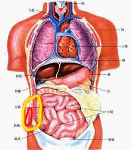 女性右下腹按压疼痛 女性右下腹疼痛是怎么回事