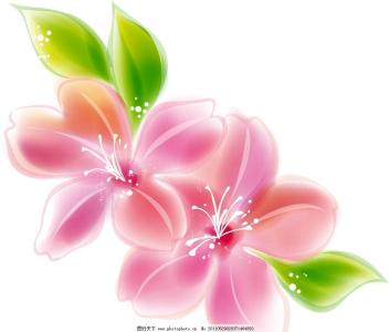 百合图库彩色印刷区 百合图库彩色印刷区 彩色印刷有哪些种类