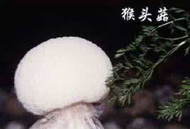 猴头菇琼浆 猴头菇纯浆