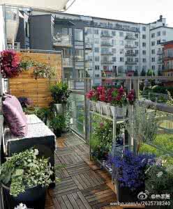 我的封闭阳台迷你花园 给我一个阳台,还你一个花园!