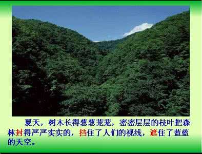 美丽的小兴安岭 美丽小兴安岭教学实录 《美丽的小兴安岭》教学设计3