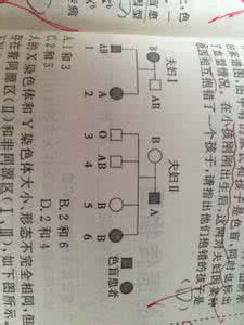 疑难血型鉴定 ABO疑难血型鉴定的分析与报告