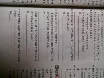 母亲的白发阅读答案 田野上的白发阅读答案