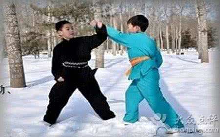 太极内家拳 内家拳拾遗:太极防身