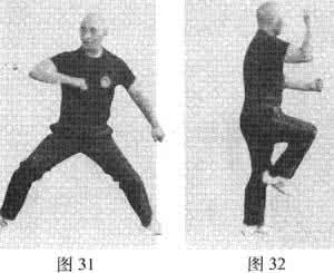 南无拳十八式 金刚养身拳二十九式(南无拳)----刘成庄