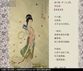 红楼梦林黛玉诗词全集 红楼梦诗词全集