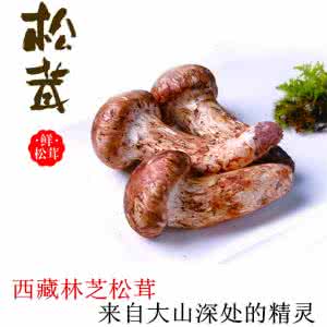 舌尖上的中国 松茸 舌尖上的美食-松茸