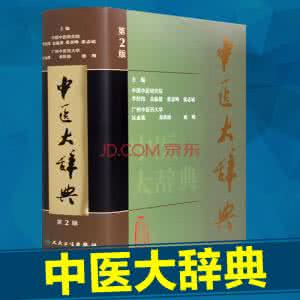 中医大辞典 中医大辞典（2册）