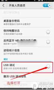 荣耀6plus usb调试 荣耀6 plus usb调试在哪？