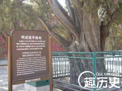 永乐票务 历代帝王均提倡植树 永乐年间盗木十株“廷杖四十”