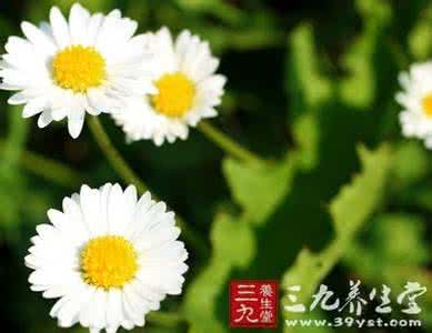 心理测试内心有多变态 心理测试 你的内心是个几成熟的假小子呢