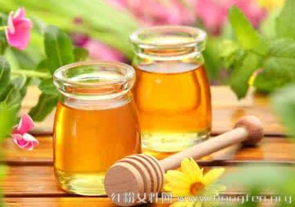 牛奶加蜂蜜的功效 早餐蜂蜜搭配牛奶吃养生功效能翻倍