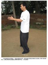 嫡传杨式太极拳教练法 太极拳放松法--张玉珩传