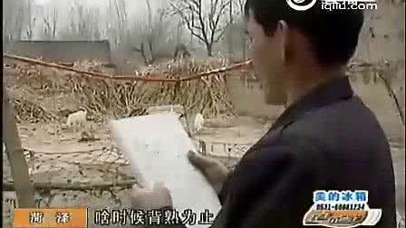 朱之文头一次比赛视频 朱之文头一次比赛视频 头一次见师傅贴瓷砖用那么多找平器,这次遇到良心师傅了!
