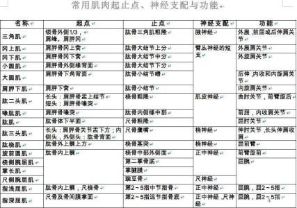 桡神经支配的肌肉 常用肌肉起止点、神经支配及功能