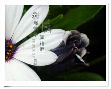 程灵素为什么写致郭襄 红颜弹指老,刹那芳华