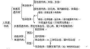 人类遗传病知识点 高考生物知识点之人类遗传病