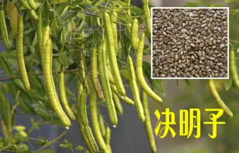 中草药决明子的功效 神效奇藥--決明子