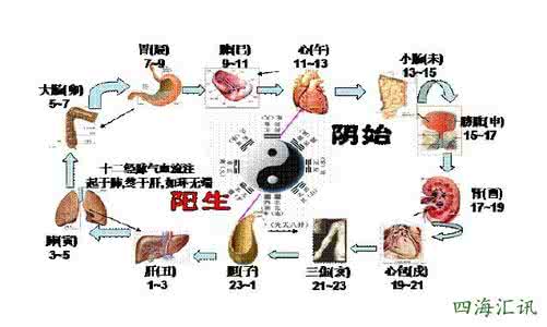 五脏六腑之精气 采用养气法保养五脏六腑（第三篇）