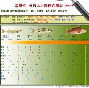 鱼钩大小选择直观图表 常规性鱼钩大小选择直观图表