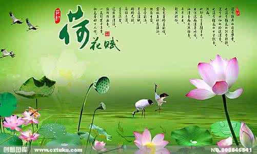 荷花赋舞蹈 荷花赋