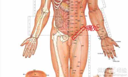 女性左侧腹股沟疼痛 左侧腹股沟疼痛 腹股沟疼痛的症状起因