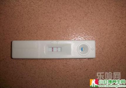 验孕棒结果怎么看图解 验孕棒结果怎么看图解 验孕棒结果怎么看