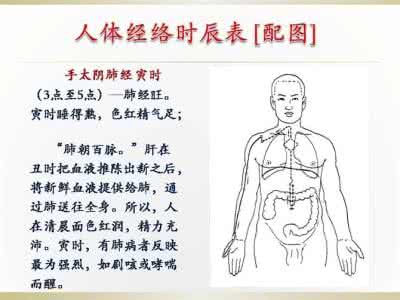 12经络时辰对照表 人体经络时辰表配图