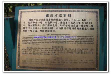 员工贡献度评价 康茂才有什么贡献 对康茂才的评价