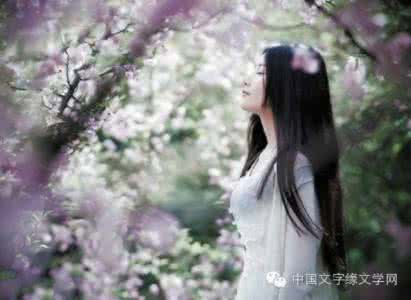 红尘一笑无言的博客 注定的红尘无言
