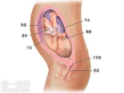 9个月胎盘低能顺产吗 胎盘位置低能顺产吗
