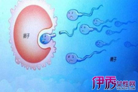 精子着床有什么反应 精子和卵子结合需要多长时间