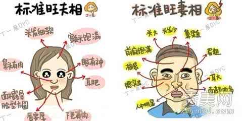 智慧锦囊全集 女人必备智慧锦囊全集