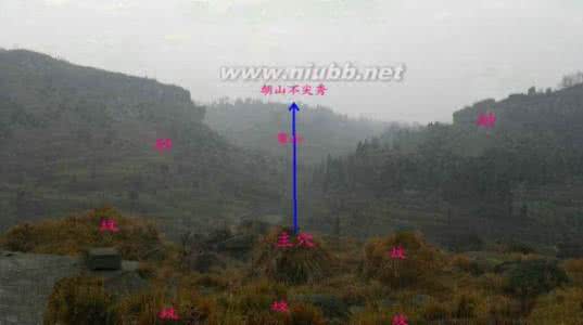 祖坟是怎样影响后代的 祖坟对后代的影响 祖坟上种什么树利后代?
