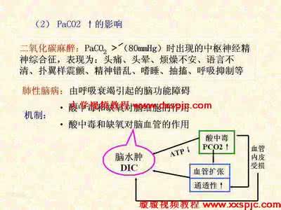 中央广播电视大学视频 《病理生理学》26集视频(中央电视大学)