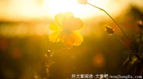 便是人生好时光 时光，是记录人生的眼
