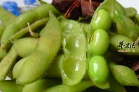 毛豆的做法大全家常菜 毛豆的菜谱大全