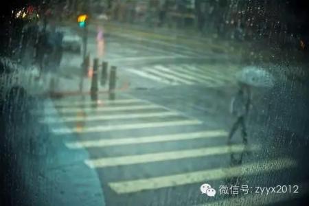 雨天的魅力 拍照技巧：雨天的城市别样的魅力-头条网