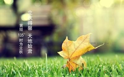 2014马年祝福语大全 2015年立秋祝福语大全