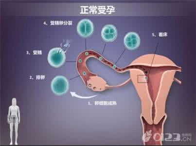 怎样提高受孕成功率 怎样成功受孕要具备的5个“最佳”
