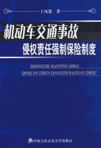 机动车交通事故责任 机动车侵权责任 机动车代驾交通事故侵权责任研究