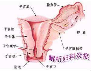 测试声音属于哪种类型 你属于哪种类型的阴道炎