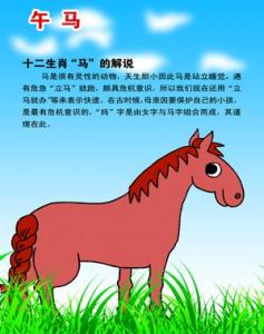 属马和属龙的婚姻如何 属马人的婚姻与命运 属龙人的婚姻与命运